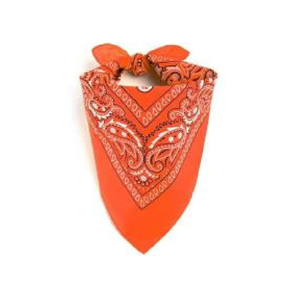 PRIDE bandana Orange