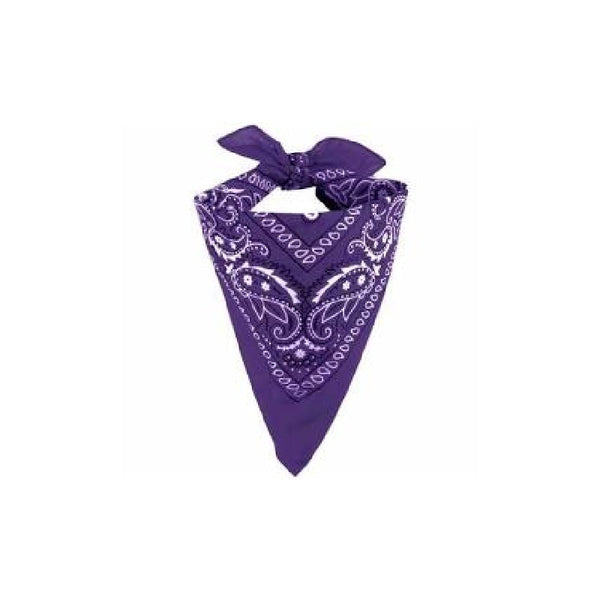 PRIDE bandana Violet