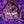 Charger l'image dans la galerie, BOA Violet en plumes