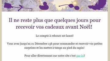 Newsletter Décembre ! Le compte à rebours est lancé!